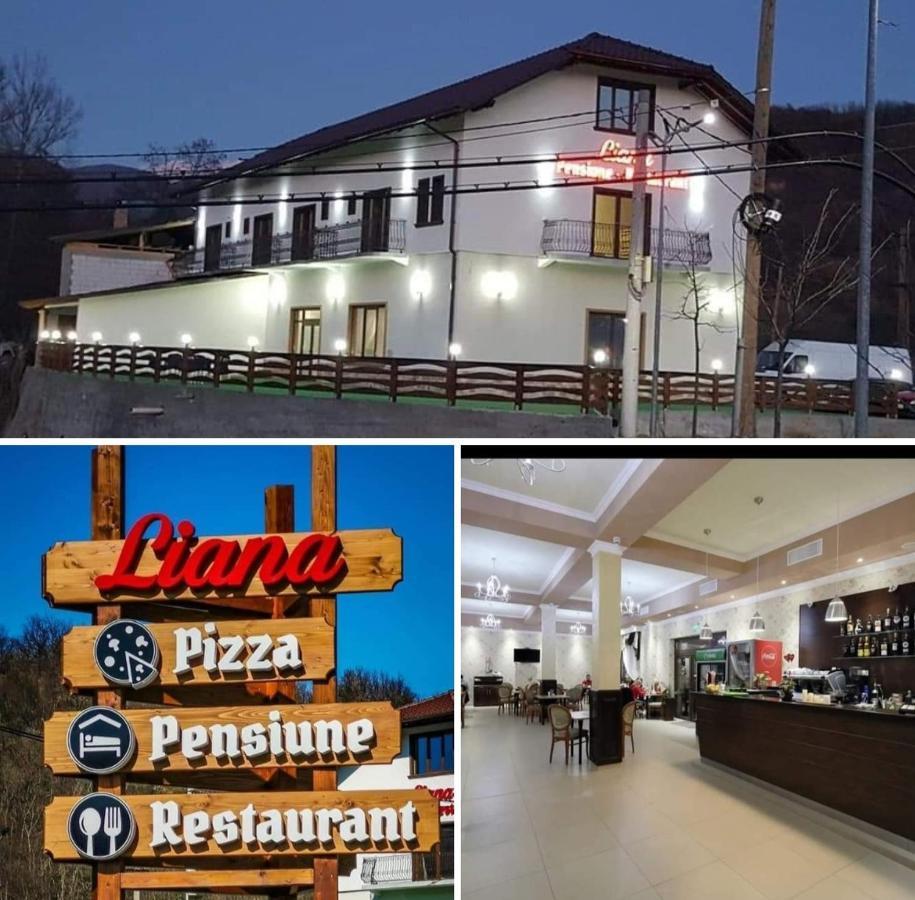 Pensiune Restaurant Liana Mehadija Dış mekan fotoğraf